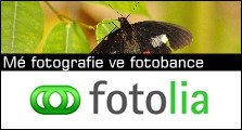 fotolia